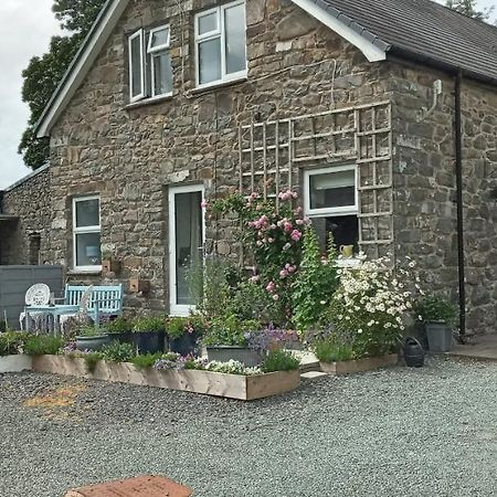 Вилла Pant Glas Barn Llanbrynmair Экстерьер фото