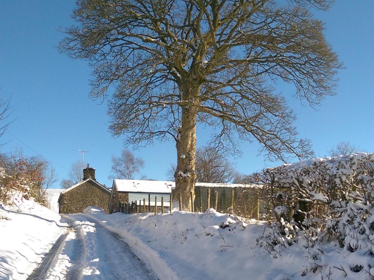 Вилла Pant Glas Barn Llanbrynmair Экстерьер фото