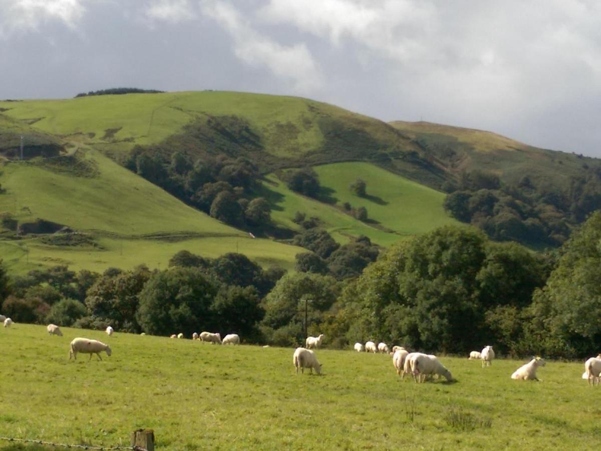 Вилла Pant Glas Barn Llanbrynmair Экстерьер фото