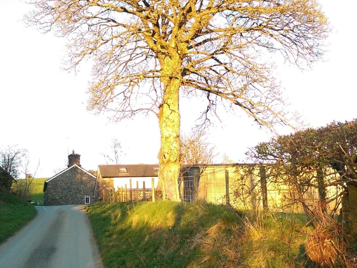 Вилла Pant Glas Barn Llanbrynmair Экстерьер фото